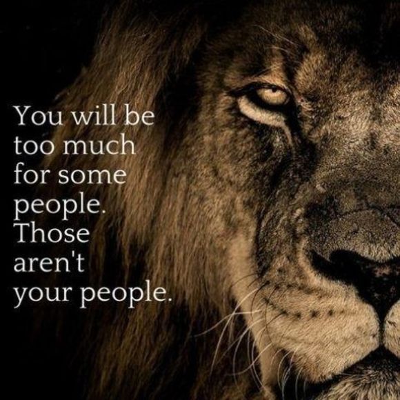 Meet your Posher, Ricky - Picture 1 of 1